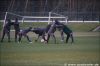 Dateiname=03_01_09_AuftagTrainigs_Borussia____55.jpg
Dateigröße=69KB
Abmessungen: 769x513
hinzugefügt am: 03. Januar 2009 03_01_09_AuftagTrainigs_Borussia____55.jpg