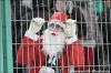 04_12_10__Borussia__-_hannover_____36.jpg