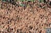 Dateiname=09_05_15_Borussia_-_bayer_04____49.jpg
Dateigröße=174KB
Abmessungen: 900x600
hinzugefügt am: 10. Mai 2015 09_05_15_Borussia_-_bayer_04____49.jpg