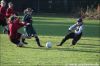 Dateiname=14_11_09_Borussia_Mönchengladbach_U17_Mädchen_-_SV_Rees___35_.jpg
Dateigröße=95KB
Abmessungen: 900x600
hinzugefügt am: 14. November 2009 14_11_09_Borussia_Mönchengladbach_U17_Mädchen_-_SV_Rees___35_.jpg