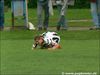 Dateiname=17_08_08_Borussia_ladies__-_SG_Essen-Schönebeck_2___71.jpg
Dateigröße=65KB
Abmessungen: 653x490
hinzugefügt am: 17. August 2008 17_08_08_Borussia_ladies__-_SG_Essen-Schönebeck_2___71.jpg