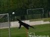 03_05_08_Borussia_trainig__037.jpg