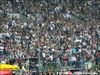 06_06_08___Grnemeyer_Borussia_PArk______051.jpg