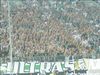 Ts__28_07_06__Mnchengladbach_-_Galatasaray_Istanbul_328.jpg