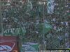 30_08_08__Borussia_mnchengladbach_-_Werder_Bremen___12.jpg